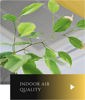 INDOOR AIR QUALITY - Indoor air quality is important for every home, especially for households with those who suffer from allergies and asthma. EPA studies show that in the smoggiest cities, the air inside most modern homes is usually at least 10 times more polluted than the air outside.

How can this be? There are many reasons that your home’s air can become more polluted than the air outside, some of which were discovered only recently. They include invisible assassins like radon and CO2, as well as gas-emitting chemicals like formaldehyde, which is used in making modern carpeting, drapery, household cleaners, furniture, and building materials. There are also common airborne pollutants that can contribute to air quality such as pollen, viruses, dust, and dust mites, as well as damp areas where standing water can breed mold, mildew, and other microbes.

What Lowers Indoor Air Quality?

Much of the indoor air quality problem can attribute to the way modern homes are built—which, for purposes of energy efficiency, are designed to be as airtight as possible. The consequence is that stale air, laced with odors, chemicals, irritants, and even miniscule insects often become trapped in modern homes, where these objects circulate over and over.

This can lead to:

eye irritation
sinus congestion
sneezing
runny noses
stuffiness
colds /flus
headaches
dizziness
sore throats
outbreaks of allergies and asthma
various other respiratory ailments
This issue is so serious and prevalent that environmentalists have coined a new term for it: IAQ, or indoor air quality. Today’s homeowners need to become more aware of the importance of IAQ and what they can do about it.

At Integrity Comfort Solutions, our Simi Valley IAQ experts utilize the following products to help our customers ensure they have healthy indoor air quality:

HEPA Air Cleaners
Steam Humidifiers
Bypass Humidifiers
Media Air Cleaners
Electronic Air Cleaners
Dehumidification Systems
Ultraviolet Treatment Systems

WHOLE-HOME AIR CLEANERS

There are many types of air cleaners on the market today, including media air cleaners, electronic air cleaners, and HEPA air cleaners. Whole-home air cleaners make your air as clean as possible by removing particulates from your air, allowing you to breathe healthier air — which is important to those with allergies and asthma and for those who want the cleanest air possible for themselves and their family. An air cleaner installed by your heating and cooling contractor can help rid your home of dust, dust mites, pet dander, mold spores, pollen, bacteria and viruses, smoke, and more.

Whole-home air cleaners work by:

Being installed as part of your home’s central heating and cooling system, completely out of your way and out of sight. That means each and every time your system runs, the air in your home is filtered through a state-of-the-art media filter, removing potentially harmful contaminants from every room of your home.
Ensuring the resulting clean air is then distributed via your heating and cooling system’s ductwork to your entire home. Best yet, the system is easy to maintain with infrequent maintenance that is only necessary every year or two. This is unlike portable units, which often require cleaning and other maintenance once every one to three months.

How Air Pollution Effects IAQ

Air pollution is a serious problem, especially inside your home! The EPA has named indoor air pollution as one of the top five environmental risks to public health, and reports that indoor air can be up to 10 times more polluted than the air outside.

Poor indoor air quality can cause or contribute to the development of chronic respiratory diseases such as asthma and hypersensitivity pneumonitis. Additionally, it can cause headaches, dry eyes, nasal congestion, nausea, and fatigue. People who already have respiratory diseases are at greater risk.

Don’t just treat the symptoms of indoor air pollution. Remove the problems from the air in every room of your house, from your bedroom to your basement, with an air cleaning system.