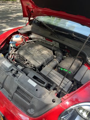 Rodent Nest Removal - A customer recently called me after noticing a bad odor coming from under the hood. Upon inspection, we discovered a rodent nest inside the engine bay. Not only can this be unsanitary, but it can also cause serious damage to wiring and components.

We performed a full engine bay detail, which included:
	•	Safe rodent nest removal and sanitizing
	•	Degreasing and grime removal
	•	Steam cleaning to restore a clean, like-new finish
	•	Protective dressing for long-lasting results

My mobile detailing service comes to you, ready to handle the messiest jobs. Whether you’re dealing with rodents, heavy buildup, or just want a clean engine bay, I've got the tools and experience to make it right.