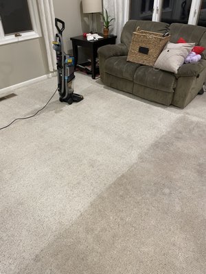 Carpet Cleaning - Here you can see the incredible difference from dirty to clean carpet. We also remove pet stains and odor with our carpet cleaning services. Carpet Cleaning - Here you can see the incredible difference from dirty to clean carpet. We also remove pet stains and odor with our carpet cleaning services.