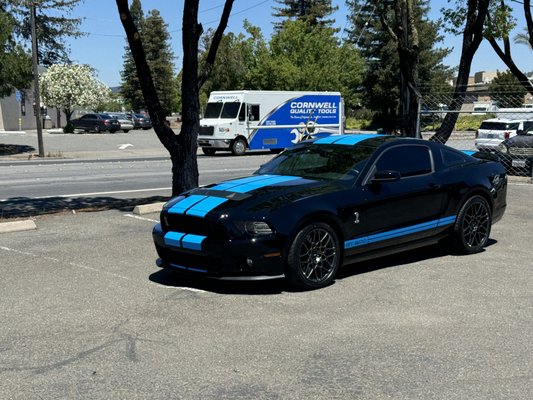 Shelby GT500 - Removed faded stripes, two step polish re-stripe with lighter blue color and two layer ceramic coating applied. Shelby GT500 - Removed faded stripes, two step polish re-stripe with lighter blue color and two layer ceramic coating applied.