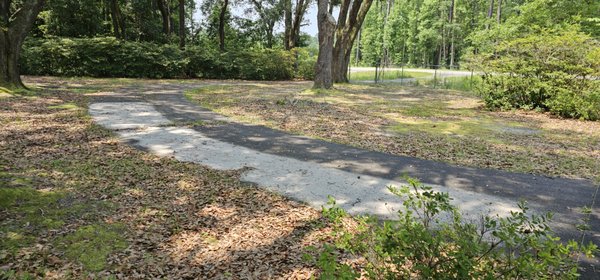Large leaf removal - A very large leaf removal. The home owners husband passed away. The leafs have not been removed for over two years.
