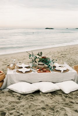 Coastal Picnic - Coastal picnic ~ Coastal Picnic - Coastal picnic ~
