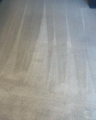 Carpet cleaning - Carpet cleaning Carpet cleaning - Carpet cleaning