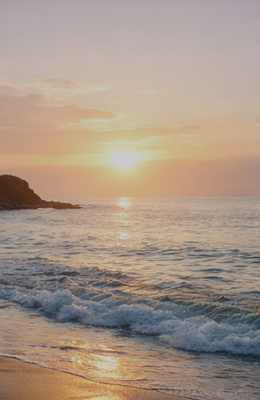 Pacific Cremation & Scattering Plan - A peaceful and meaningful option for families who wish to return their loved one’s ashes to the ocean. This plan includes private cremation and a respectful scattering at sea along the California coast, with care and dignity throughout the process. Pacific Cremation & Scattering Plan - A peaceful and meaningful option for families who wish to return their loved one’s ashes to the ocean. This plan includes private cremation and a respectful scattering at sea along the California coast, with care and dignity throughout the process.