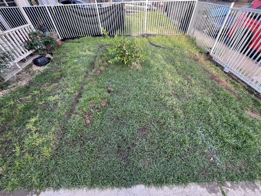 Complete backyard design and build - Front yard overhaul