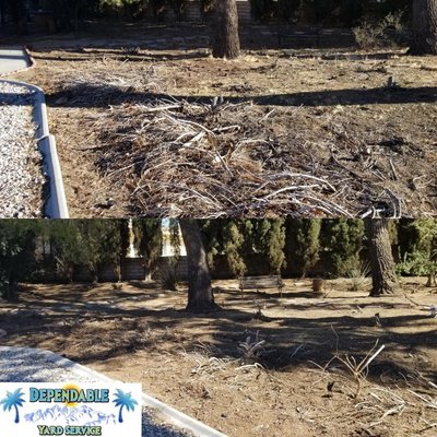 Front yard clean up. - Front yard pine needle, leaves, dead branches & weeds clean up.