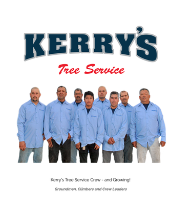 OUR HISTORY GOES BACK OVER 40 YEARS! - In 1972, Kerry Ray started his journey in tree trimming by pruning the trees at his rental house in Reseda, California. He then volunteered to help his friend Randy, trim his parents Ash tree. So, they went out and bought a Homelite chainsaw, climbing gear and a black/orange trucker's rope.
A friend of the family with a tree trimming company noticed how hard this duo worked and started giving them all the jobs he did not want. They did not care how big the jobs were and viewed each job as great learning experience and an excellent form of exercise.
Over the following years, Kerry worked vigorously to expanded the business by adding state of the art equipment and adding new crew members to the team. Kerry’s Tree Service, Inc. has grown its clientele based on its outstanding reputation and is now one of the largest, most reputable tree care companies in Los Angeles.
Meet the Team
Nobody in the Tree Care and Service Industry is going to care more or be more knowledgeable about the care of your trees then Kerry's Tree Service. With over 46 years of Experience and Knowledge in the Tree Care and Service Industry, we are the Premier Tree Care and Service Company in the greater Los Angeles and Ventura Counties. OUR HISTORY GOES BACK OVER 40 YEARS! - In 1972, Kerry Ray started his journey in tree trimming by pruning the trees at his rental house in Reseda, California. He then volunteered to help his friend Randy, trim his parents Ash tree. So, they went out and bought a Homelite chainsaw, climbing gear and a black/orange trucker's rope.
A friend of the family with a tree trimming company noticed how hard this duo worked and started giving them all the jobs he did not want. They did not care how big the jobs were and viewed each job as great learning experience and an excellent form of exercise.
Over the following years, Kerry worked vigorously to expanded the business by adding state of the art equipment and adding new crew members to the team. Kerry’s Tree Service, Inc. has grown its clientele based on its outstanding reputation and is now one of the largest, most reputable tree care companies in Los Angeles.
Meet the Team
Nobody in the Tree Care and Service Industry is going to care more or be more knowledgeable about the care of your trees then Kerry's Tree Service. With over 46 years of Experience and Knowledge in the Tree Care and Service Industry, we are the Premier Tree Care and Service Company in the greater Los Angeles and Ventura Counties.