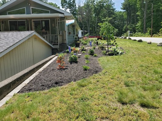 Garden Progress 2020-2023 - This garden was installed in 2020, through the years I've added, removed, replaced, transplanted etc
I've also started plants from seed in this garden.
Typically I visit this property once a month or once every other month. As this garden has gotten established its needed less and less maintenance. Garden Progress 2020-2023 - This garden was installed in 2020, through the years I've added, removed, replaced, transplanted etc
I've also started plants from seed in this garden.
Typically I visit this property once a month or once every other month. As this garden has gotten established its needed less and less maintenance.