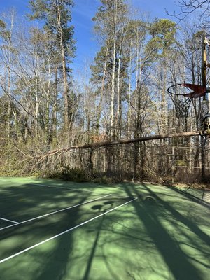 Storm Damage - In emergency removals before and after photos are often the last thing we think about, but we have ample experience removing fallen trees from structures.