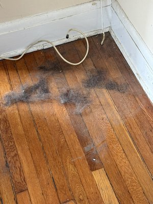Deep Clean 2.7.2026 - This Project Consisted Of The Kitchen, The Living Room and A Sunroom. Deep cleans take time but the result is spotless! Book The Hounds & We’ll Clean Your Property Like Our Own! Deep Clean 2.7.2026 - This Project Consisted Of The Kitchen, The Living Room and A Sunroom. Deep cleans take time but the result is spotless! Book The Hounds & We’ll Clean Your Property Like Our Own!