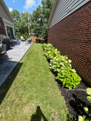 Junkscaping - Exterior resets blend debris removal with curb upgrades.

Soft/pressure wash combos
Hardscape & fence repair
Mulch, rock, and bed refresh