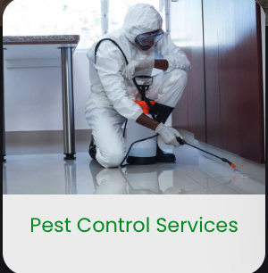 Pest Control Services - We offer a wide array of programs to control all kinds of common house hold pest. Upon inspection the technician will go over the best options to keep all the creepy crawlers away from your home. Pest Control Services - We offer a wide array of programs to control all kinds of common house hold pest. Upon inspection the technician will go over the best options to keep all the creepy crawlers away from your home.