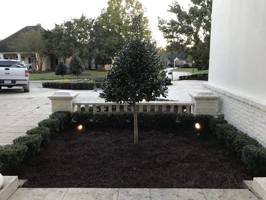 Landscaping the country club 2019 - When we got to this project, it had a lot of problems. The existing soil was hard clay, their irrigation system was really messed up and needed repairs and new parts, their lighting, needed to be taken up and redone. They had major drainage problems that were killing off all their plants because landscapers are famous for installing plants without trenching to allow for all of that access water to drain away. We were able to create drainage for all the beds while also having water supply. But we chose plants that naturally require way less water other than the sunshine Lagustrum, but I felt like that color really brought everything to life. Landscaping the country club 2019 - When we got to this project, it had a lot of problems. The existing soil was hard clay, their irrigation system was really messed up and needed repairs and new parts, their lighting, needed to be taken up and redone. They had major drainage problems that were killing off all their plants because landscapers are famous for installing plants without trenching to allow for all of that access water to drain away. We were able to create drainage for all the beds while also having water supply. But we chose plants that naturally require way less water other than the sunshine Lagustrum, but I felt like that color really brought everything to life.