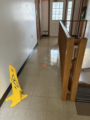 Bellingham housing - We put our hearts into the deep cleaning at Bellingham Housing, because the amazing people who live there—especially the grandparents—deserve nothing less 💜
