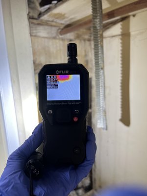 Mold and Water Damage Inspections - Do you breathe healthy air from from mold and other air pollutants? Mold grows with water damages or high humidity indoors and produces harmful mycotoxins. Justin and his team at BNF provides evaluate the current status and provide the recommendations complying with regulations and professional standards. Breathe smart, stay healthy!