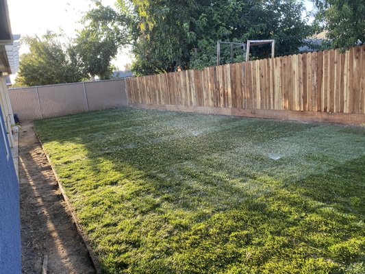 Back yard remodel - Nice and simple nack yard remodel. New irrigation system, lay new sod and replaced old fence Back yard remodel - Nice and simple nack yard remodel. New irrigation system, lay new sod and replaced old fence
