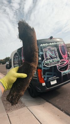 Drain Cleaning & Root Intrusion Removal in Mesa, AZ - A homeowner contacted New Era Plumbing after experiencing slow drains and repeated sewer backups caused by tree roots invading the underground sewer line. Our team performed a professional drain cleaning service using specialized equipment to remove the root blockage, restore proper water flow, and inspect the line for any additional damage. Tree root intrusion is one of the most common causes of clogged sewer lines and can lead to serious plumbing issues if left untreated. New Era Plumbing provides expert drain cleaning, sewer line cleaning, root removal, hydro jetting, and sewer repair services for homeowners throughout Mesa, Gilbert, Chandler, Queen Creek, and the surrounding East Valley. Our goal is to restore your plumbing system quickly while helping prevent future backups and costly repairs.