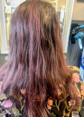Molecular Repair Treatment and Haircut - Loreal Absolutel Molecular Repair Treatment Molecular Repair Treatment and Haircut - Loreal Absolutel Molecular Repair Treatment