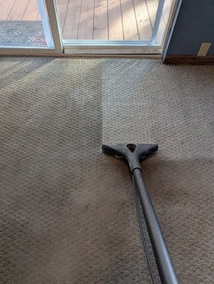 Residential Carpet Cleaning - See why Top Notch Carpet Cleaning has over 2300 five-star reviews between the different on-line review sites.  Truck-mounted and local for 26 years.