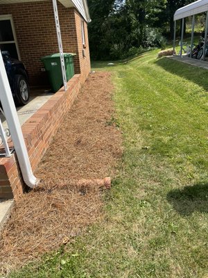 Flower bed restoration - These projects both customers were 100% satisfied with our work the first set of photos. The customer wanted everything removed and pine needles put down. The other photos is of pompous grass that a customer wanted removed. Flower bed restoration - These projects both customers were 100% satisfied with our work the first set of photos. The customer wanted everything removed and pine needles put down. The other photos is of pompous grass that a customer wanted removed.