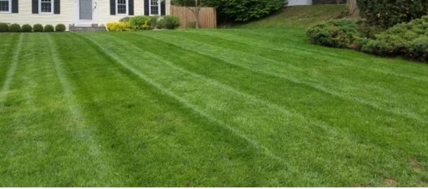 lawncare - Call now and get your free lawncare estimate today!!!
lawn service starting at $25. lawncare - Call now and get your free lawncare estimate today!!!
lawn service starting at $25.