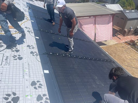 GAF Solar Integrated Asphalt Shingles Installation - Ever thought about installing solar panels on your roof AND having your roof replaced? The combination of solar energy and roofing has now become a polished and well integrated system thanks to GAF Solar Asphalt Shingles. They are incredibly durable that you can walk on them with no risk of damage and they can be installed on your roof in the same way as traditional asphalt shingles.