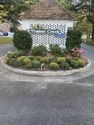 Flower bed install - Install a variety of mums Flower bed install - Install a variety of mums