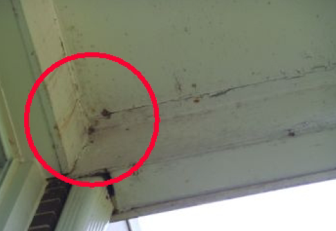 Mold Inspections - Mold Inspections performed by NextDay Inspect®. We evaluate the home for any moisture and growth using the latest technologies.  Our moisture evaluations are a visual site evaluation of the areas you suspect of mold or moisture. Using a moisture meter and infrared camera, the inspector can help identify active leaks or areas with the potential for water intrusion. We will provide recommendations on how to correct these high-risk areas and help you decide if mold sampling would be beneficial at this time. We also provide a sampling of the mold using swaps or air samples. Any samples are sent to our labs for further analysis that will indicate the types and amount of mold spores.