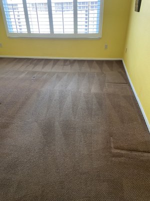 Carpet Cleaning 2023 - This cleaning was done last year. Customer was completely satisfied with the quality of work provided.