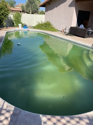 Green To Clean - Chlorine washes along with a power wash are used to remove algae and some stains.  We have found it to be the most effective way to quickly treat a green pool. We have successfully treated and removed black algae infestations using both a power wash with a chlorine wash.