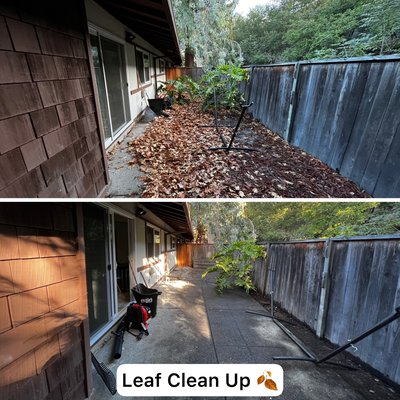 Leaf Removal Project. - Help us help you get rid of your pilled up leafs out of your yard. Call us today.