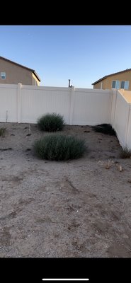Property cleanup of all Vegetation - PROPERTY cleanup of all vegetation Property cleanup of all Vegetation - PROPERTY cleanup of all vegetation