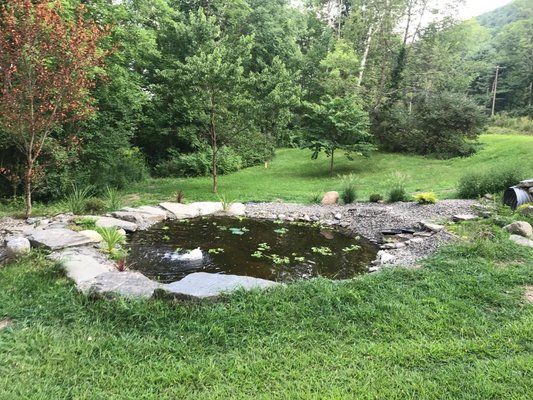 Koi Pond - It’s been awhile since we’ve built a decorative koi pond, and we are aching to do another! Contact us today to schedule an estimate for a new pond/water feature or to give yours a facelift/cleaning. Servicing Tompkins County NY. 607-269-5151 - call or text! Koi Pond - It’s been awhile since we’ve built a decorative koi pond, and we are aching to do another! Contact us today to schedule an estimate for a new pond/water feature or to give yours a facelift/cleaning. Servicing Tompkins County NY. 607-269-5151 - call or text!