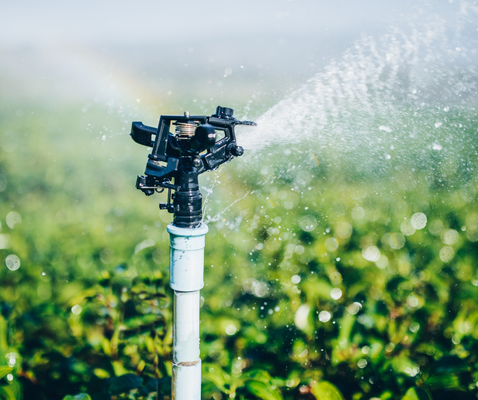 Irrigation Services - We specialize in designing, installing, and maintaining efficient and effective irrigation systems for residential, commercial, and agricultural properties. Our team of experts uses cutting-edge technology and industry-leading practices to ensure that your irrigation system operates at peak performance, saving you time, money, and water. From automated controllers and drip irrigation to sprinkler systems and water conservation strategies, we offer a wide range of services to meet your irrigation needs. We also provide ongoing maintenance and repair services to keep your system functioning at its best. Our commitment to excellence, customer satisfaction, and environmental responsibility sets us apart from the competition. Contact us today to schedule a consultation and discover how we can help you achieve a healthy and beautiful landscape with minimal water waste. Irrigation Services - We specialize in designing, installing, and maintaining efficient and effective irrigation systems for residential, commercial, and agricultural properties. Our team of experts uses cutting-edge technology and industry-leading practices to ensure that your irrigation system operates at peak performance, saving you time, money, and water. From automated controllers and drip irrigation to sprinkler systems and water conservation strategies, we offer a wide range of services to meet your irrigation needs. We also provide ongoing maintenance and repair services to keep your system functioning at its best. Our commitment to excellence, customer satisfaction, and environmental responsibility sets us apart from the competition. Contact us today to schedule a consultation and discover how we can help you achieve a healthy and beautiful landscape with minimal water waste.