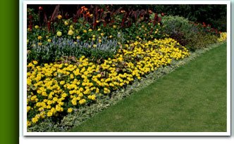 Gardening - Houston Heights Landscaping combines the best plants and materials available with first class service to give you the yard that you’ve been daydreaming about.
Don’t spend another day wondering how great it could look. Call today for a consultation. Gardening - Houston Heights Landscaping combines the best plants and materials available with first class service to give you the yard that you’ve been daydreaming about.
Don’t spend another day wondering how great it could look. Call today for a consultation.