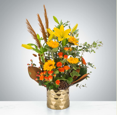 Autumn Designs - Autumn Design is a signature collection from Evara Nature Group, inspired by the warm hues and organic textures of the fall season. This line blends sustainable materials with contemporary aesthetics, featuring earthy tones, natural fibers, and handcrafted elements. Perfect for homes, offices, and boutique spaces, Autumn Design brings the cozy elegance of autumn indoors, reflecting Evara’s commitment to both design excellence and environmental stewardship. Autumn Designs - Autumn Design is a signature collection from Evara Nature Group, inspired by the warm hues and organic textures of the fall season. This line blends sustainable materials with contemporary aesthetics, featuring earthy tones, natural fibers, and handcrafted elements. Perfect for homes, offices, and boutique spaces, Autumn Design brings the cozy elegance of autumn indoors, reflecting Evara’s commitment to both design excellence and environmental stewardship.