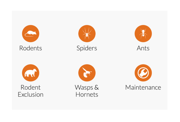 Pests We Treat - Choose Pest Pros to ensure that your home comfort and health is our number one priority – our services help maintain that status for as long as we serve you. Pests We Treat - Choose Pest Pros to ensure that your home comfort and health is our number one priority – our services help maintain that status for as long as we serve you.