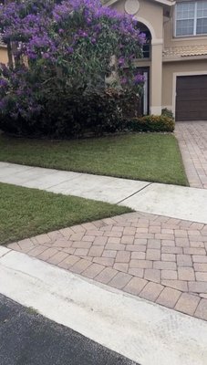 Fresh Cut - This a picture of a freshly cut lawn. Fresh Cut - This a picture of a freshly cut lawn.