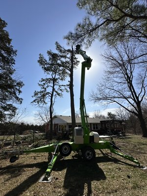 Preparing for Storms - The client had a pine tree fall on their house during an ice storm. So we came and took the other pine trees that they were worried about.