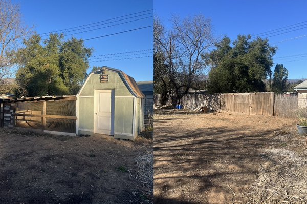 Chicken coop and shed demolition and removal 2025 - This demo took us approximately four hours to knockdown and HAUL AWAY! Chicken coop and shed demolition and removal 2025 - This demo took us approximately four hours to knockdown and HAUL AWAY!