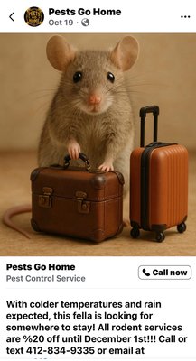Winter is coming and those pesky bugs and rodents are looking for somewhere warm. - With winter upon us all kinds of pesky bugs and rodents are looking for a warm home. Give us a call. Winter is coming and those pesky bugs and rodents are looking for somewhere warm. - With winter upon us all kinds of pesky bugs and rodents are looking for a warm home. Give us a call.
