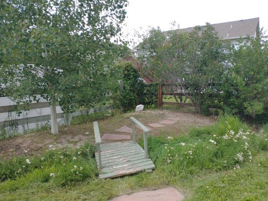 Clean up overgrowth - Property needed to have overgrown vegetation cut back to reveal the landscaping and beauty of the yard.