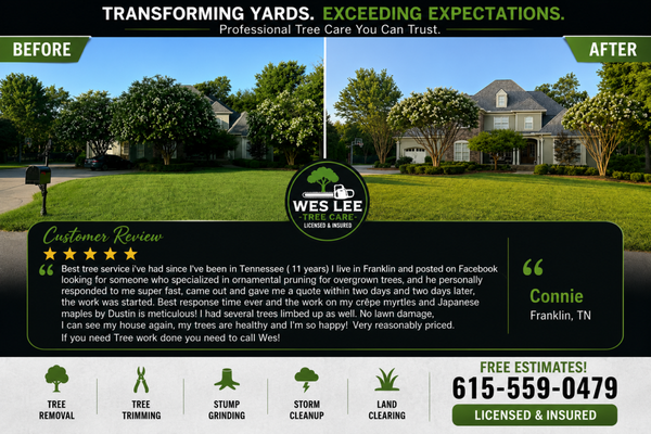 Trim the trees in front yard to expose more of this beautiful house. - This customer reached out to me with a goal in mind, to make their beautiful house more visable from the road.  We wanted to save the trees while exposing more of the house so we did a very heavy hand pruning on all the trees in the front yard.  We raised up the canopy exposing the lower parts of the tree while keeping most of the upper foliage so that the trees can thrive.  In the end we made everyone happy and the trees look great.  Here is the actual 5 star review from the customer.

"Best tree service i've had since I've been in Tennessee ( 11 years) I live in Franklin and posted on Facebook looking for someone who specialized in ornamental pruning for overgrown trees, and he personally responded to me super fast, came out and gave me a quote within two days and two days later, the work was started. Best response time ever and the work on my crêpe myrtles and Japanese maples by Dustin is meticulous! I had several trees limbed up as well. No lawn damage, I can see my house again, my trees are healthy and I'm so happy! Very reasonably priced. If you need Tree work done you need to call Wes!"