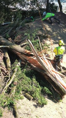 Emergency Recovery Tree Work - Our team understands when disaster strikes, the last thing you want is another headache to deal with. Let us be the shoulder to lean on and take care of the hazardous work. We work throughout California to help aid in recovery by working with insurance adjusters, placing tarps on damaged rooftops and clearing the area to help your insurance carrier take care of the rest. Emergency Recovery Tree Work - Our team understands when disaster strikes, the last thing you want is another headache to deal with. Let us be the shoulder to lean on and take care of the hazardous work. We work throughout California to help aid in recovery by working with insurance adjusters, placing tarps on damaged rooftops and clearing the area to help your insurance carrier take care of the rest.