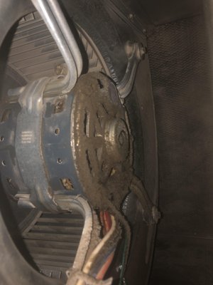 Furnace Cleaning - This is what we have found in furnaces that we have cleaned. Furnace motors plugged with dust so badly they can barely cool them selves. Furnace fan blades so full of disgusting stuff that they are almost impossible to recognize. Furnace a/c coils that were blocked by hardened drywall dust form renos, or plugged by pet air, causing a large reduction of cold air flow and huge increases in hydro costs. A dirty furnace is not only gross, runs hotter, burns more hydro, it also will not last nearly as long as a clean one. Call us today and book a furnace cleaning with your duct cleaning service. Furnace Cleaning - This is what we have found in furnaces that we have cleaned. Furnace motors plugged with dust so badly they can barely cool them selves. Furnace fan blades so full of disgusting stuff that they are almost impossible to recognize. Furnace a/c coils that were blocked by hardened drywall dust form renos, or plugged by pet air, causing a large reduction of cold air flow and huge increases in hydro costs. A dirty furnace is not only gross, runs hotter, burns more hydro, it also will not last nearly as long as a clean one. Call us today and book a furnace cleaning with your duct cleaning service.