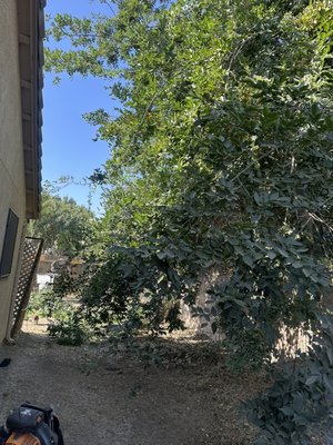 Hanford clean up job! - Client was satisfied with our clean job! Hanford clean up job! - Client was satisfied with our clean job!