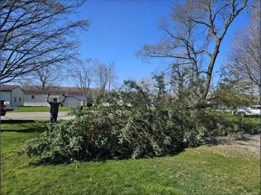 Our Mission - Tri-State Tree Services is a trusted and professional tree care company dedicated to providing top-quality services to residential and commercial clients. With years of experience in the industry, we specialize in tree removal, trimming, pruning, and emergency storm damage clean-up. Our skilled team, led by owner Zachary, is committed to ensuring the health and safety of your trees while maintaining the beauty and integrity of your property. We pride ourselves on delivering prompt, reliable, and affordable services, always with an emphasis on customer satisfaction. At Tri-State Tree Services, we take care of your trees as if they were our own, providing expert solutions tailored to your needs. Our Mission - Tri-State Tree Services is a trusted and professional tree care company dedicated to providing top-quality services to residential and commercial clients. With years of experience in the industry, we specialize in tree removal, trimming, pruning, and emergency storm damage clean-up. Our skilled team, led by owner Zachary, is committed to ensuring the health and safety of your trees while maintaining the beauty and integrity of your property. We pride ourselves on delivering prompt, reliable, and affordable services, always with an emphasis on customer satisfaction. At Tri-State Tree Services, we take care of your trees as if they were our own, providing expert solutions tailored to your needs.