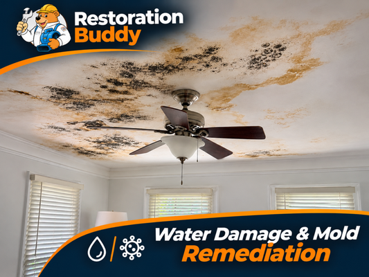Ceiling Water Damage & Mold Remediation - We discovered water damage and mold growth caused by animal-damaged HVAC ductwork above the ceiling. After another company repaired the ducts, our team removed all furniture from the room and installed full floor protection to prevent additional damage. We then carefully removed all water-damaged and mold-contaminated ceiling materials, including drywall and insulation. Our team completed the mold remediation and prepared the affected area for reconstruction. Ceiling Water Damage & Mold Remediation - We discovered water damage and mold growth caused by animal-damaged HVAC ductwork above the ceiling. After another company repaired the ducts, our team removed all furniture from the room and installed full floor protection to prevent additional damage. We then carefully removed all water-damaged and mold-contaminated ceiling materials, including drywall and insulation. Our team completed the mold remediation and prepared the affected area for reconstruction.
