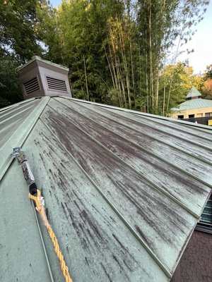 ZOO ROOF CLEANING - We recently had the opportunity to clean the metal roofs at the Zoo Atlanta, ensuring the structures are well-maintained and protected. Using our specialized soft wash techniques, we carefully removed dirt, algae, mold, and other buildup that had accumulated over time. This process not only restored the roofs' original shine but also helped to prevent long-term damage caused by moisture and debris. Our eco-friendly cleaning methods ensured that the surrounding environment and wildlife were not disrupted, allowing the zoo to maintain a clean and safe appearance for both visitors and animals. ZOO ROOF CLEANING - We recently had the opportunity to clean the metal roofs at the Zoo Atlanta, ensuring the structures are well-maintained and protected. Using our specialized soft wash techniques, we carefully removed dirt, algae, mold, and other buildup that had accumulated over time. This process not only restored the roofs' original shine but also helped to prevent long-term damage caused by moisture and debris. Our eco-friendly cleaning methods ensured that the surrounding environment and wildlife were not disrupted, allowing the zoo to maintain a clean and safe appearance for both visitors and animals.