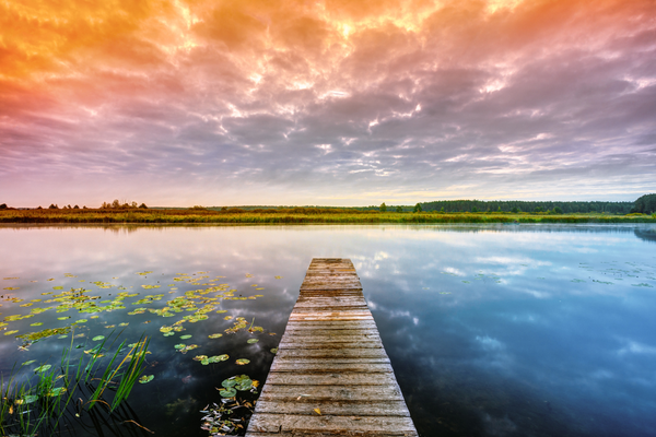 Eliminate Anxiety with Our Hypnotherapy - Are you ready to reclaim your life from the clutches of anxiety?
At HEAL YOURSELF LA, we are dedicated to empowering individuals like you to conquer anxiety and rediscover tranquility.
My own battle with crippling anxiety and panic attacks was long and grueling. I tried numerous therapies and counseling, but nothing seemed to alleviate my distress. At my lowest point, feeling utterly desperate, I turned to hypnotherapy—a decision that changed my life. Hypnotherapy not only helped me overcome my anxiety, but it also inspired me to create this practice, extending the same hope and healing to others.
If your experiences mirror my own, you understand the profound impact of this struggle. I empathize deeply with your situation and I am here to reassure you that a calm, anxiety-free life is not only possible but achievable.
Our team of highly skilled hypnotherapists employs proven techniques that deeply penetrate the subconscious, directly addressing the roots of anxiety. They bring a wealth of experience in helping clients regain control of their thoughts and emotions.
You can achieve this too.
Our method goes beyond traditional counseling by offering a more focused, effective, and lasting approach to recovery and peace. With our expert guidance, you can dismantle the foundations of your anxiety, paving the way for enduring serenity and control.
Consider starting with just a few sessions in our welcoming office. Rest assured, we prioritize your comfort and understanding, explaining every step of the process before we begin.
Book your first appointment today and start your journey to healing: https://healyourselftherapy.com/appointments/
With love and understanding,
Sasha Carrion Eliminate Anxiety with Our Hypnotherapy - Are you ready to reclaim your life from the clutches of anxiety?
At HEAL YOURSELF LA, we are dedicated to empowering individuals like you to conquer anxiety and rediscover tranquility.
My own battle with crippling anxiety and panic attacks was long and grueling. I tried numerous therapies and counseling, but nothing seemed to alleviate my distress. At my lowest point, feeling utterly desperate, I turned to hypnotherapy—a decision that changed my life. Hypnotherapy not only helped me overcome my anxiety, but it also inspired me to create this practice, extending the same hope and healing to others.
If your experiences mirror my own, you understand the profound impact of this struggle. I empathize deeply with your situation and I am here to reassure you that a calm, anxiety-free life is not only possible but achievable.
Our team of highly skilled hypnotherapists employs proven techniques that deeply penetrate the subconscious, directly addressing the roots of anxiety. They bring a wealth of experience in helping clients regain control of their thoughts and emotions.
You can achieve this too.
Our method goes beyond traditional counseling by offering a more focused, effective, and lasting approach to recovery and peace. With our expert guidance, you can dismantle the foundations of your anxiety, paving the way for enduring serenity and control.
Consider starting with just a few sessions in our welcoming office. Rest assured, we prioritize your comfort and understanding, explaining every step of the process before we begin.
Book your first appointment today and start your journey to healing: https://healyourselftherapy.com/appointments/
With love and understanding,
Sasha Carrion
